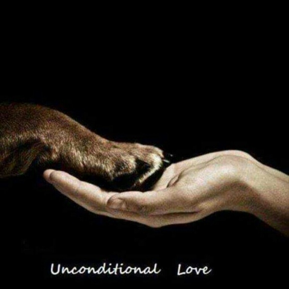 Meet the Posher - Picture 2 of 2